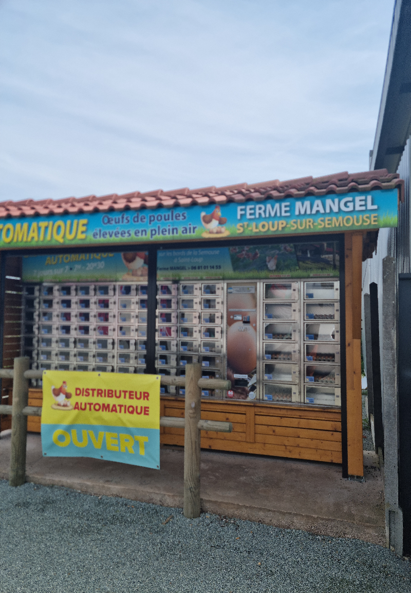 Dismatix - EGG.title (Ronchamp, France)