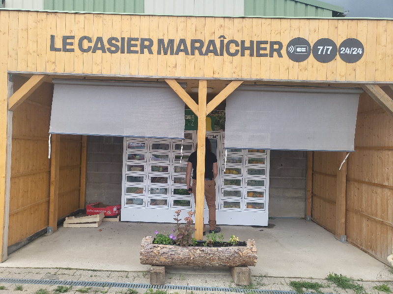 Dismatix - VEGETABLE.title (-, -)