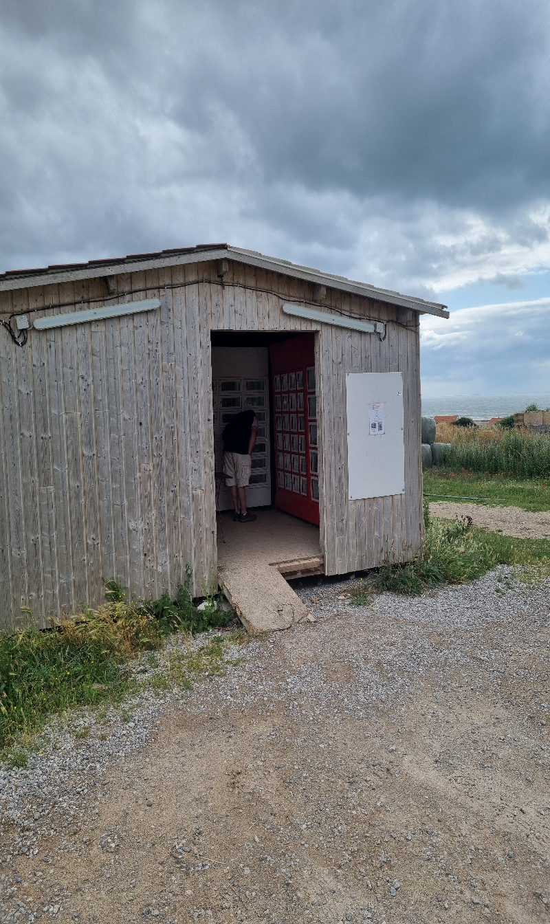 Dismatix - MEAT.title (Wissant, France)